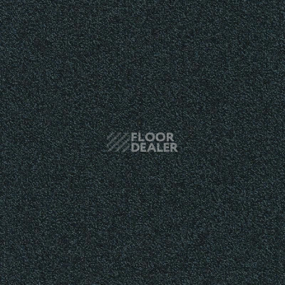 Ковровая плитка Modulyss Millennium Nxtgen Millennium Nxtgen 524 фото 1 | FLOORDEALER